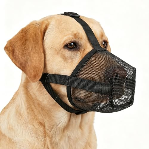 Maulkorb für große Hunde,Fressschutz für Hunde,Netzmaulkorb, Atmungsaktiver und Verstellbarer Fressschutz, Giftköderschutz Hund für Mittelgroße Hunde, Maulkörbe für Hunde Training