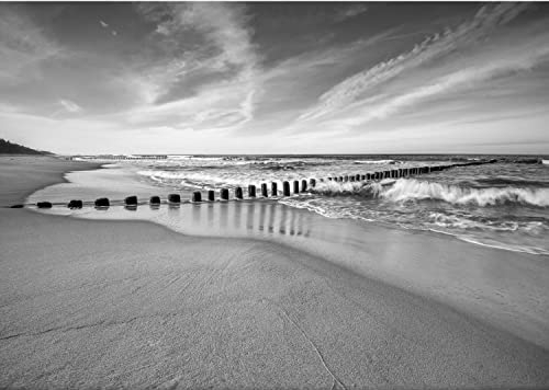 Runa Art Papier peint intissé Mural Sea beach Moderne Toison Salon Chambre à Coucherr Salle - Tableaux Muraux Tapisserie Photo - Noir et blanc 9488010c