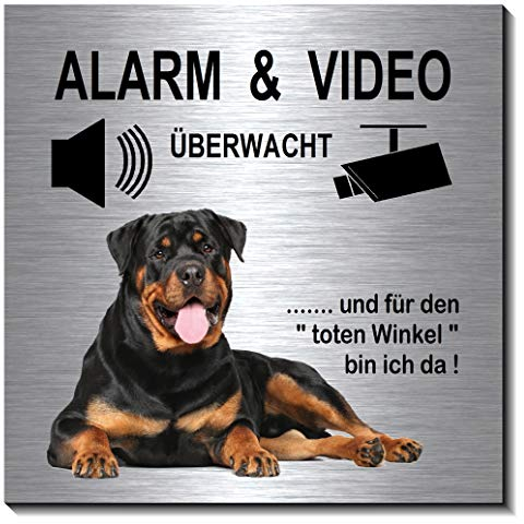 Rottweiler-Alarm-Video-Überwachung-Hund-10 x 10 cm-Schild-Hundeschild-Alu. Edelstahloptik-Hunde-Tierschild-Warnschild-Hinweisschild (1910-67 - mit Klebepads)