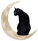 Adifare Metal Wall Decor Black Cat and Moon, Hanging Modern Wall Art Decorations for Indoor Outdoor Living Room Bedroom Kitchen Hallway Stairs,30 x 30cm(Cat)