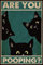 CCPARTON Aluminiumschild mit schwarzer Katze Are You Pooping Schilder, Vintage-Schilder, Wanddekoration, Metallschilder, Retro für Zuhause, Badezimmer, Küche, 20,3 x 30,5 cm