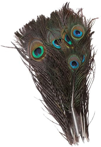 STOBOK 10st Dekorative Federn Heimdekorationen Pfauenfedern Masse Pfauenfedern Für Vase Wohnkultur Bulk-vasen Vasen in Großen Mengen Federn Wanddekoration Traumfänger Lieferungen Füllung