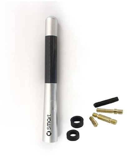 WOAFEY Auto Breve FM/AM Radio Segnale Antenna per Smart Fortwo Forfour 450 451 453 Radio Antenna Car Styling Accessori,Silver