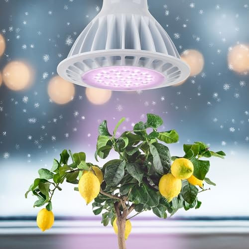 Meine Orangerie - LED Pflanzenlampe SPOT - Vollspektrum Pflanzenlicht zur Überwinterung von mediterranen Kübelpflanzen - Pflanzenstrahler energiesparend - E27 Fassung - 12cm Durchmesser