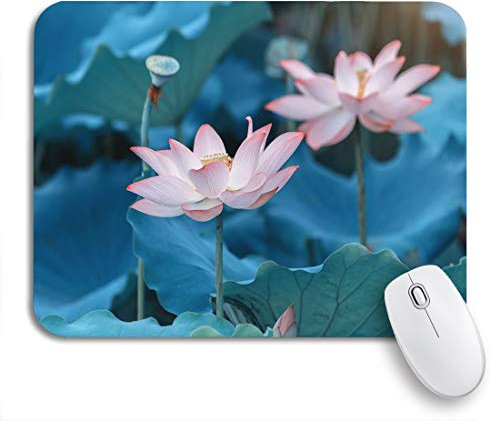 Gaming Mouse Mat Green Aquatic Lotus Flower Plants In Pond Pink Bean Writing Mat Durable Gaming Mouse Mat Pad Small Table Mat, For Trave, Office, 25 x 30cm