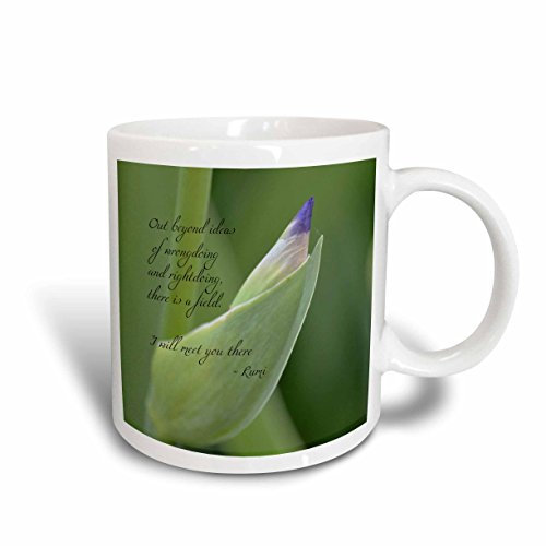 Coffee Cups Travel Mug Colorful Mug Funny Porcelain Mug Novelty Gift for Mom Office Christmas 330 Ml Out Beyond Ideas Rumi Quote Wisdom Inspirational Iris Flower