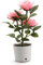 UKCOCO Rosafarbenes Nachtlicht Solar-gartenleuchten Im Freien Rosafarbene Led-leuchten Blumen-solarleuchten Im Freien Bonsai-led-lichtlampe Tischlampe Rose Landschaftslichter