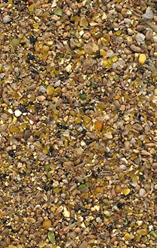 Scharrel-Mehl (Legemehl) 5kg - Hühner Enten Gänse Eiproduktion