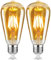 Woowtt Vintage Light Bulbs E27 Screw, 6W Led Edison Bulb Dimmbale Edison Filament Bulb, 600LM 2700K Warm White Decorative Bulbs E27, Vintage Led Bulb Lamp, Pack of 2