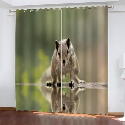 BSYYZQC EichhöRnchen Blackout Vorhang, Vorhänge Blickdicht Spiegel Gardinen mit ösen, Gegen Kälte Super Weich Schallschutz Vorhang für Schlafzimmer 2er Set 220x140cm (HxB)