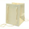 APAC Ivory Florist Hand Tied, Porto Bag, Flower, Plant, Gift Bag, 25cm x 19cm