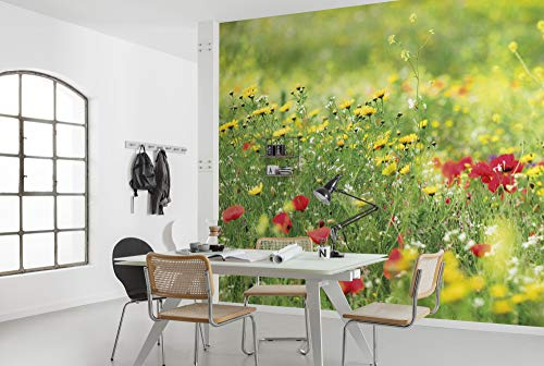 Komar Vlies Fototapete WIESENZAUBER II | Tapete, XXL, Dekoration, Natur, Landschaft, Schlafzimmer, Wohnzimmer, Büro, Flur | Größe 450 x 280 cm (Breite x Höhe) | SHX9-094