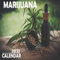 Marijuana Calendar 2021: 16 Month Mini Wall Or Desk Calendar For Office, Home Or School