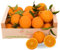 NARANJAS DANIEL | Naranjas de mesa de Valencia (6 KG) | Del árbol a tu mesa | Sabor equilibrado, delicioso y dulce | Sin conservantes ni aditivos