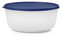 Tupperware Modulare Schüssel, große 1,05 Gallonen Frischhalteschüssel, spülmaschinenfest und BPA-frei (4 l)