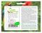 Stk - 10x Streptocarpus grandis Strauchrosen Garten Pflanzen - Samen B310 - Seeds & Plants Shop by Ipsa