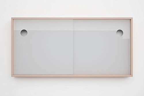 Schiebetür für Kallax Regal Acrylglastüren Glasvitrine Glastür Laufschiene mit Holzrahmen für Bücher Deko Sammelstücke (Weiß)