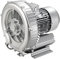 Pompe à eau PLANTAWA Classique en Fonte D'aluminium Argenté, Pompe soufflante monophasée pour piscine et jacuzzi, 2cv, 210 m3/h