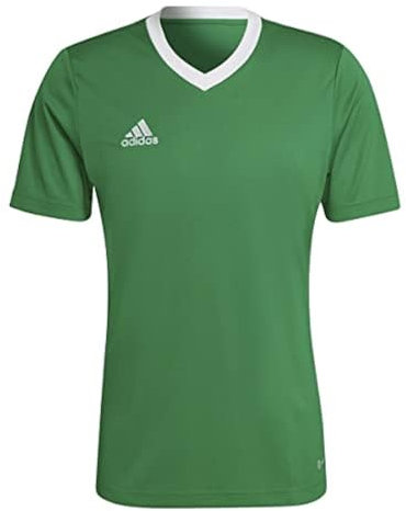 adidas Men's Entrada 22 Jersey, Team Green / White, S