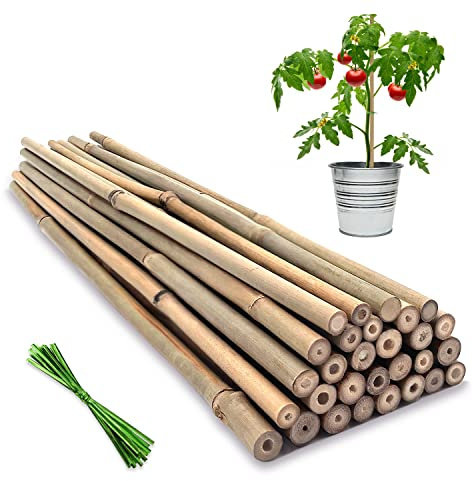 Bovitro Lot de 20 tuteurs en bambou naturel pour tomates, haricots, légumes et plantes en pot 40,6 cm