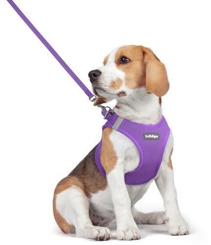 rabbitgoo Hundegeschirr Kleine Hunde mit Leine Step-in, Lila, L | Einfach anzulegen, Atmungsaktiv, Weiches Mesh & Reflektierend, Sicherheitsverschluss mit 1,5m Leine für Kleine Mittlere Hunde
