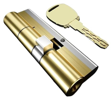 Cylindre de serrure standard européen 65-115 mm - 10 clés principales for serrures de portes extérieures - Serrure de sécurité en laiton(105=32.5+72.5)