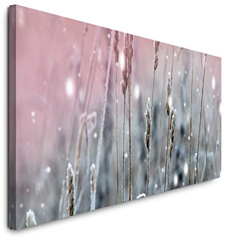 Paul Sinus Art GmbH Winterpflanzen 120x 50cm Panorama Leinwand Bild XXL Format Wandbilder Wohnzimmer Wohnung Deko Kunstdrucke