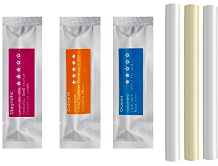 She-Lin Fester Lufterfrischer Nachfüllpack - Nachfüllbare Duftstäbchen - 3 Duftstäbchen (Eau de Toilette, Ozean, magnetisch)