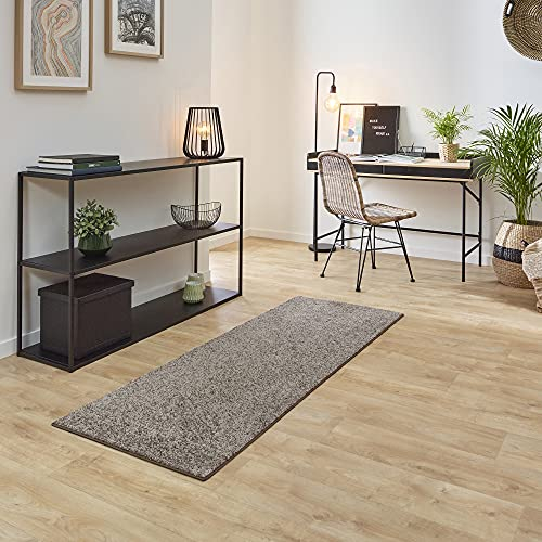 Carpet Studio Ohio Teppich Läufer 67x180cm, Weicher Kurzflor Teppich Läufer Flur, Schlaffzimmer, Wohnzimmer & Küche, Pflegeleicht, Geruchsneutral - Beige