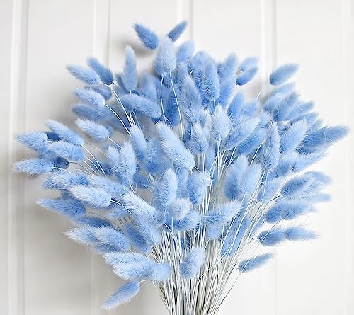 Lot de 120 herbes de la pampa séchées bleues pour décoration de mariage bohème - 43,2 cm - Herbe de la pampa en vrac - Queues de lapin bleues séchées
