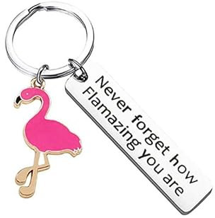 Porte-clés flamant rose inspirant « You Are Amazing » - Cadeau pour homme, femme, fils, fille, collègue, famille, en acier inoxydable pour Noël, anniversaire, Saint-Valentin, remise de diplôme,