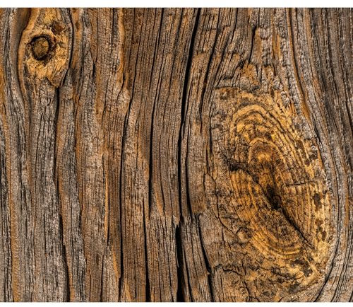 decomonkey Fototapete Holz, 300x210 cm, XXL, Holzoptik Natur, Vlies, Design