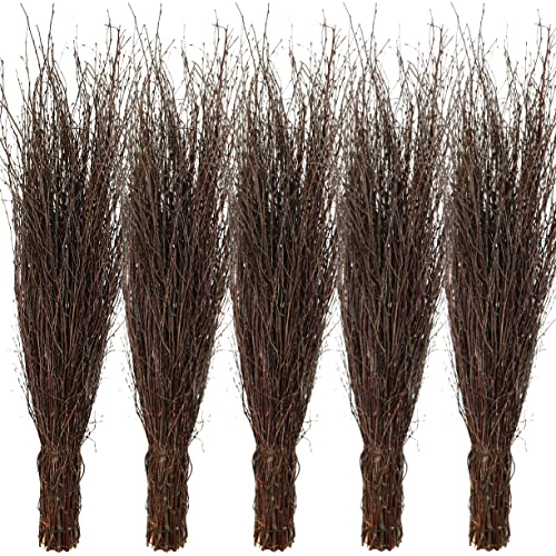 Agrarflora Strauchbesen aus Birkenreisig - Handgefertigt und 3-Fach gebunden, Reisigbesen, Hexenbesen, Reiserbesen, Kehrbesen aus Birkenzweigen, Birkenbesen für Haus & Garten - 5 Stück
