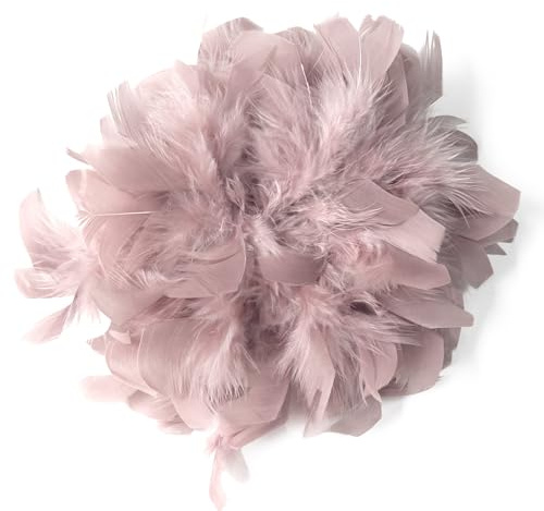 Baesics Broche à plumes pour femme - Plume d'autruche Fluffy - Broche à clipser - Vintage pour mariage, mariée, carnaval, blazer