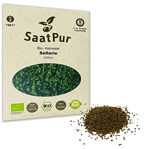 Sellerie BIO Keimsprossen von SaatPur - Keimsaat für Sprossen, Microgreens - 15g