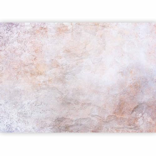 murando - Papier peint panoramique abstrait 350x256 cm - Revêtement mural décoration pour chambre salon cuisine - Design unique et moderne - Gris violet beige - a-A-10035-a-a