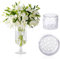 AFAIK 2 supporti per fiori a spirale Ikebana Stem Holder per vasi, bouquet, utensili Ikebana, bouquet, twister, supporto per fiori fai da te