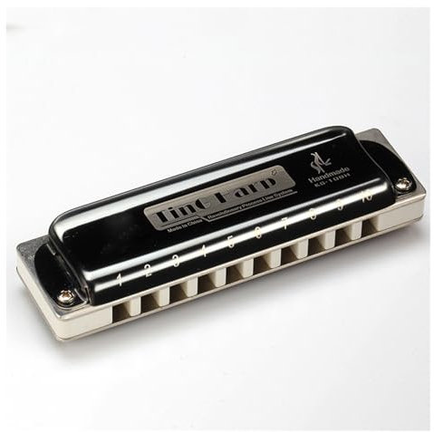 Blues Harmonica 10-Loch-Blues-Mundharmonika Blues-Instrument Spielpraxis Anfänger Mundharmonika lernen(White)