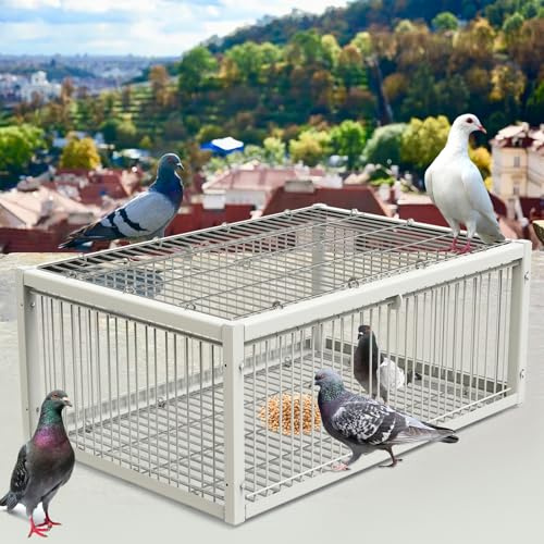 MUALROUS Piège à pigeons avec design anti-fugue pour pigeons, colombe - Cage à oiseaux pliable à sens unique - Entrée extérieure, terrasse, jardin, ferme, entrepôt - Piège humain pour souris moineau