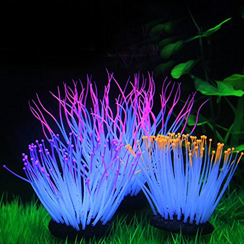 Zhi Jin Anémone artificielle colorée en silicone, décoration pour aquarium sécuritaire