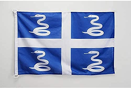 AZ FLAG - Drapeau Martinique Spécial Extérieur - 90x60 cm - Pavillon Nautique Martiniquais - France En Maille Bloquée Avec Anneaux Plastiques Intégrés - 80g