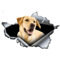 AeRko Niedlicher gelber Labrador Retriever 3D-Auto-Aufkleber, Vinyl-Aufkleber, dekorativer Kofferraum-Aufkleber (Größe: 30 cm)