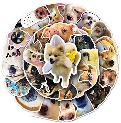 Meme Cat Stickers (50 PCS) - Gift for Kids & Adults, Waterproof & Vinyl, Perfect for Laptop, Water Bottle, Scrapbook, Skateboard, Bike, Phone & Dairy