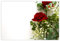 celloexpress Blank (Red Roses & Widows Thrill) Flower Message Cards - 60mm x 90mm - Blank Florist Card Gift Notes (Pack of 10)