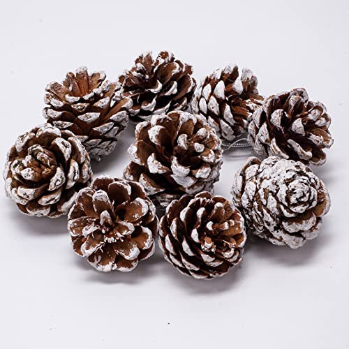 24 Stück Tannenzapfen, natürlicher Kiefernzapfen mit Schnur, 4-5 cm große Tannenzapfen, Tannenzapfendekoration für Weihnachtsdekoration, Adventsdekoration, Bienenhotel-Füllmaterial, Bastelbedarf