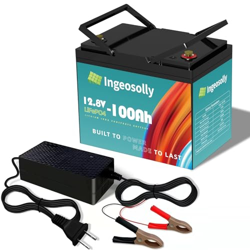 12V 100Ah LiFePO4 Batterie, 100A BMS, 8000+ Zyklen Deep Cycle Lithium Akku, MAX 1280W Leistung, 12 Volt für Solarenergiespeicher, Boot, Ersatzstrom, Wohnmobil, Camping, Trolling Motor, Off-Grid