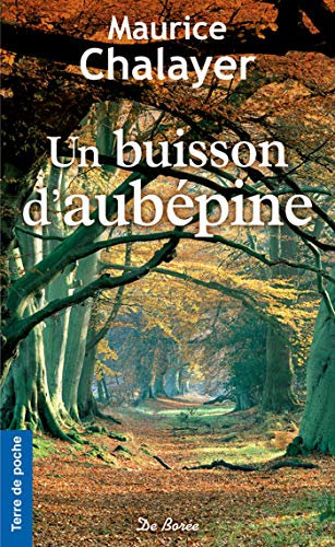 Un buisson d'aubépine (Terre de poche)