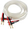 HiFi Audio Speaker Cable OCC Silver Plated Speaker Wire Pure Copper Banana Plug Connector (Banana Plug,9.9ft / 3m)