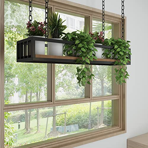 Drsyffsup Deckenregal Hängend Decken-Hängeregal Pflanzen Blumen für Balkon, Massivholz-Eisen-Lagerregal, Küchenbar, Schweberegal, Überkopf-Garage-Rack-Display-Regale, mit Leitplanke schweberegale