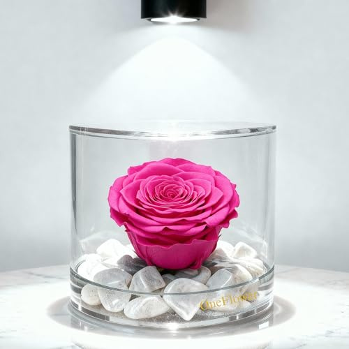 Premium-rose.com Box tondo con Rosa fucsia Stabilizzata e Marmo di Carrara, Idea Regalo Unica e Raffinata, Idea regalo per lei, Natale, Cubo Rosa fucsia, Fatta in Italia (Fucsia 1092)